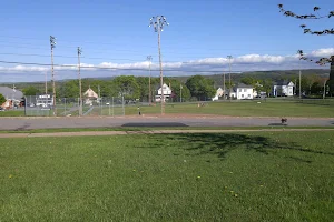 Albion Ball Field image