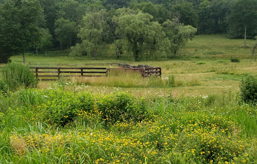 Nature Preserve «Grace Farms», reviews and photos, 365 Lukes Wood Rd, New Canaan, CT 06840, USA