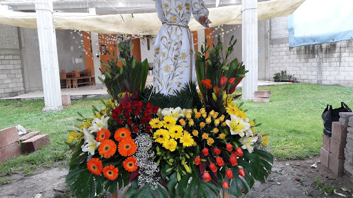 Floreria Nicole florería en  en la zona Cuxtitla