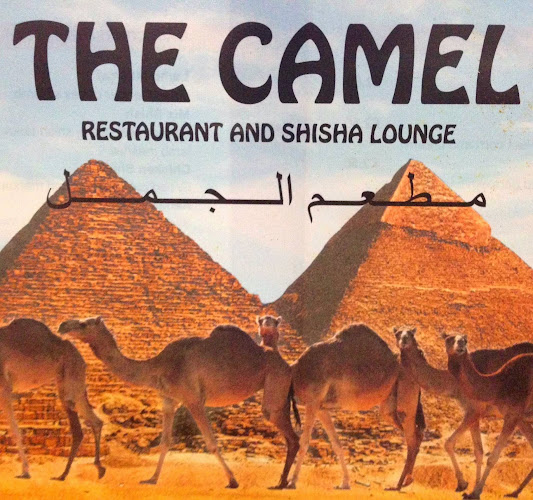 The Camel - Plymouth