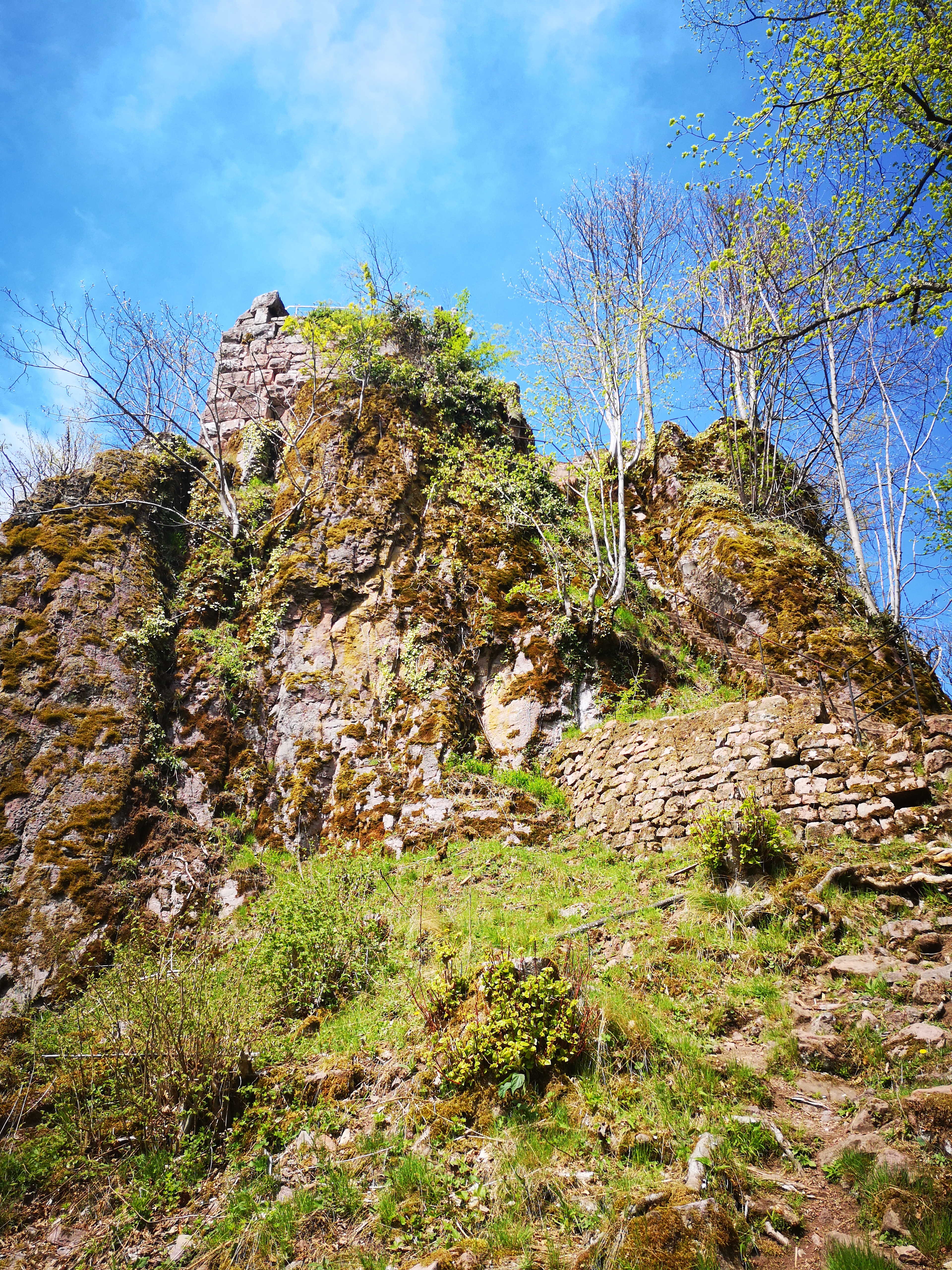 Photo n° 1 de l'avis de Severine.i fait le 23/04/2019 à 06:11