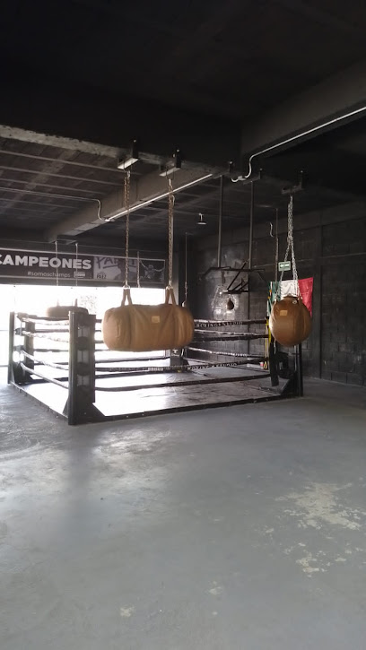 Round12 Boxing Studio - Av. del Castillo 5511-23, 72820 San Andrés Cholula, Pue., Mexico