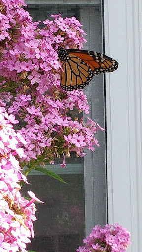 Heritage Museum «Heritage Museums & Gardens», reviews and photos, 67 Grove St, Sandwich, MA 02563, USA