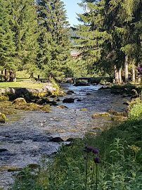 Source du Doubs du Restaurant Le chalet de la source à Mouthe - n°5