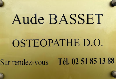 Basset Aude à Carquefou