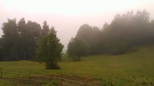 site_photo4