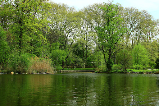 Park «Prospect Park Carousel», reviews and photos, 95 Prospect Park West, Brooklyn, NY 11225, USA