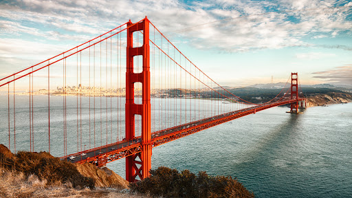 Bay Area Business Brokers - Antoinette Gonzales Norris image