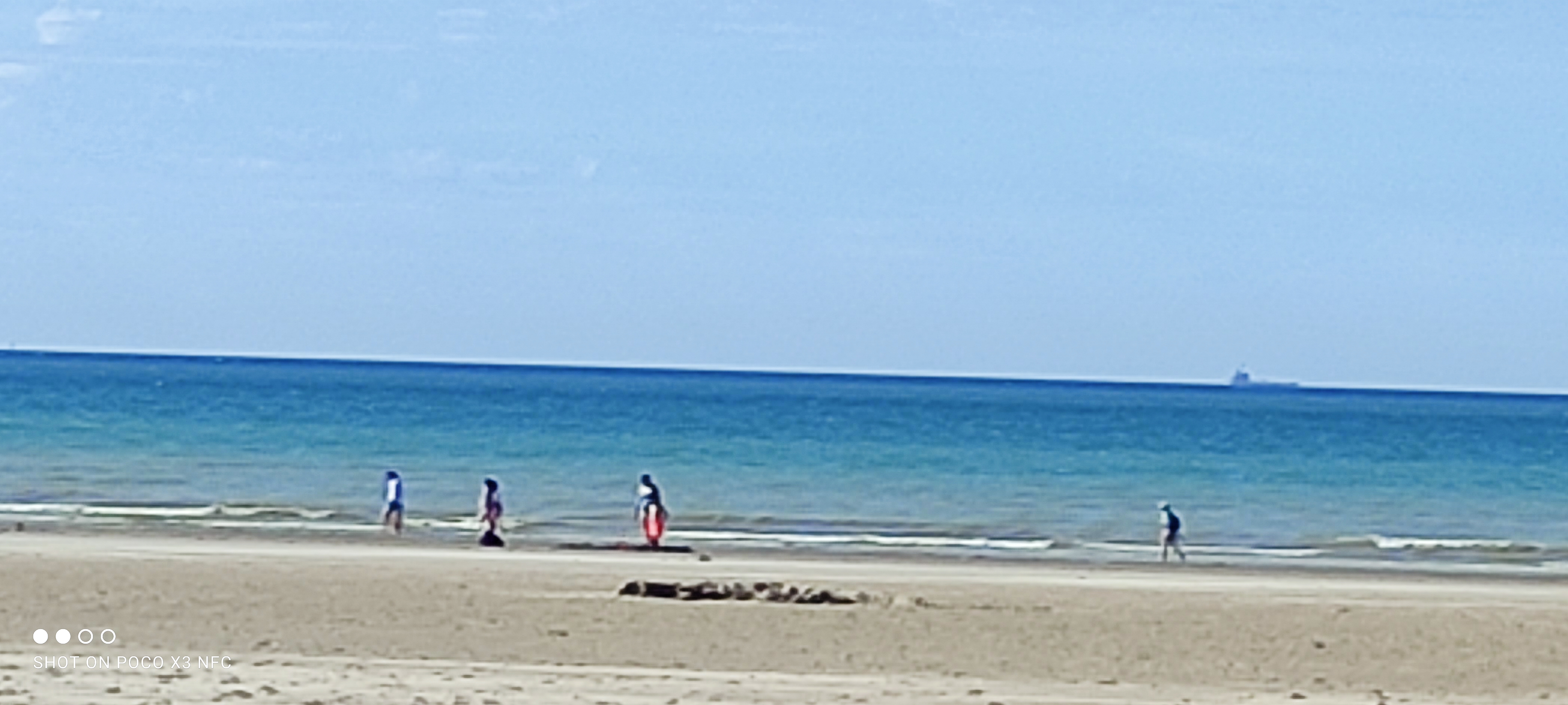Photo n° 1 de l'avis de pierre.e fait le 24/07/2022 à 17:59