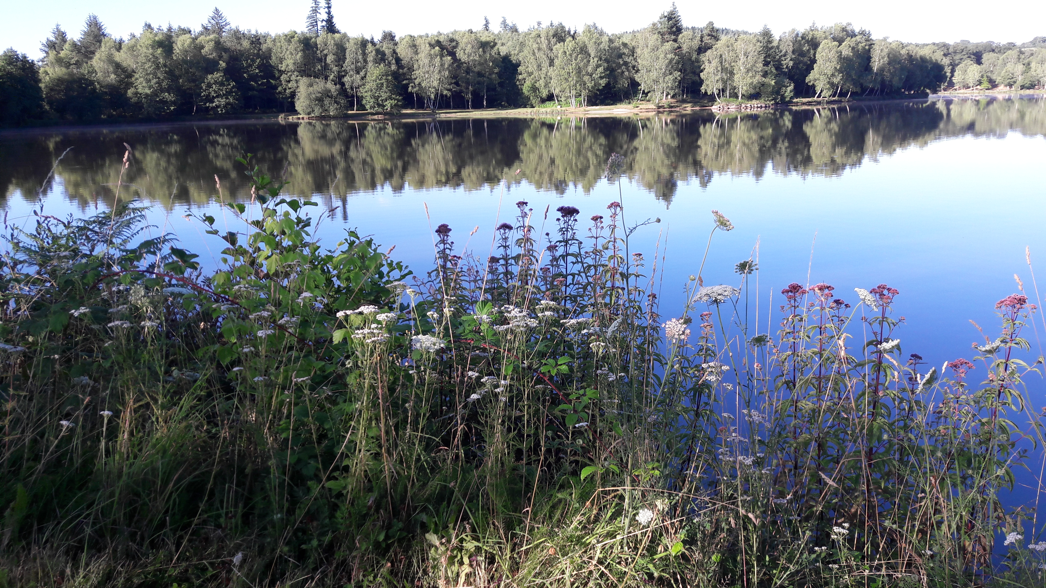 Photo n° 1 de l'avis de Visi.o fait le 18/07/2018 à 08:34