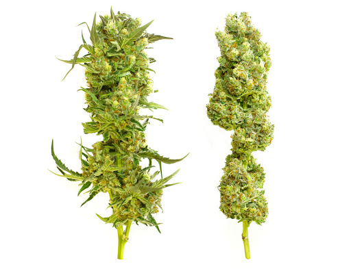 Homeopathic Pharmacy «Kind Pain Management Inc.», reviews and photos, 2636 Youngfield St, Lakewood, CO 80215, USA