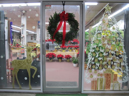 Garden Center «Central Florist & Nursery», reviews and photos, 928 Park St, Stoughton, MA 02072, USA