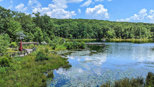 Zoo «North Carolina Zoo», reviews and photos, 4401 Zoo Pkwy, Asheboro, NC 27205, USA