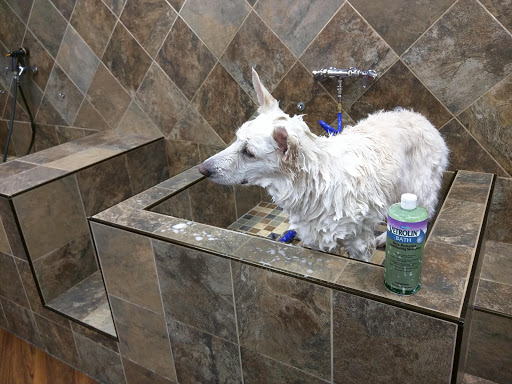 Pet Store «Pet Valu», reviews and photos, 190 Forty Foot Rd, Hatfield, PA 19440, USA