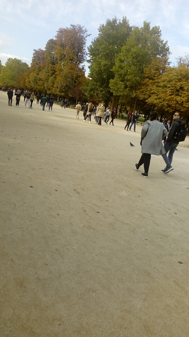Photo n° 32 de l'avis de Delbart.e fait le 06/10/2019 à 13:25