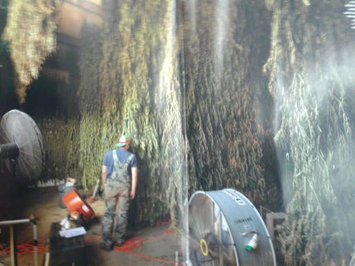 Shopping Mall «Midtown Plaza Shopping Center», reviews and photos, 1834 Snow Rd, Parma, OH 44134, USA