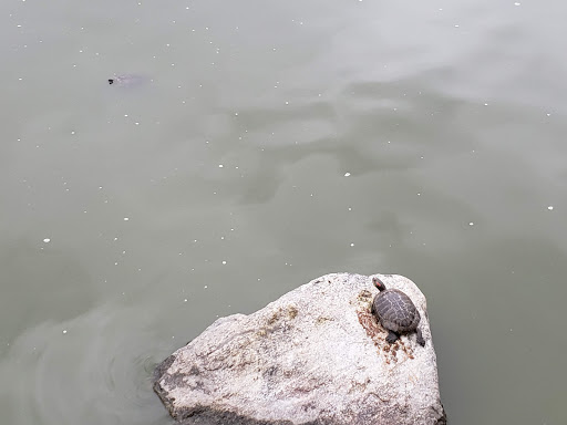 Golf Course «Alhambra Golf Course», reviews and photos, 630 S Almansor St, Alhambra, CA 91801, USA