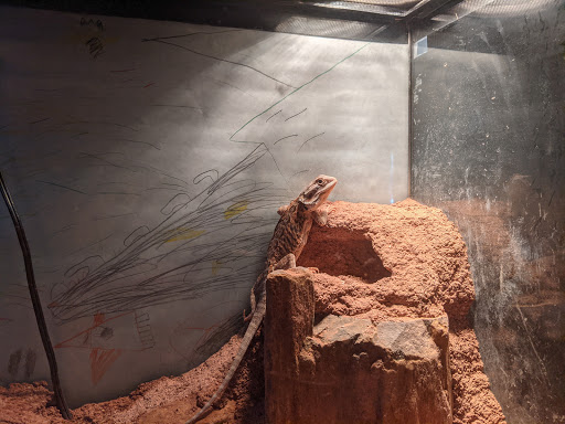 Pet Store «Lake City Pets and Supplies & Grooming», reviews and photos, 1101 US-90, Lake City, FL 32055, USA