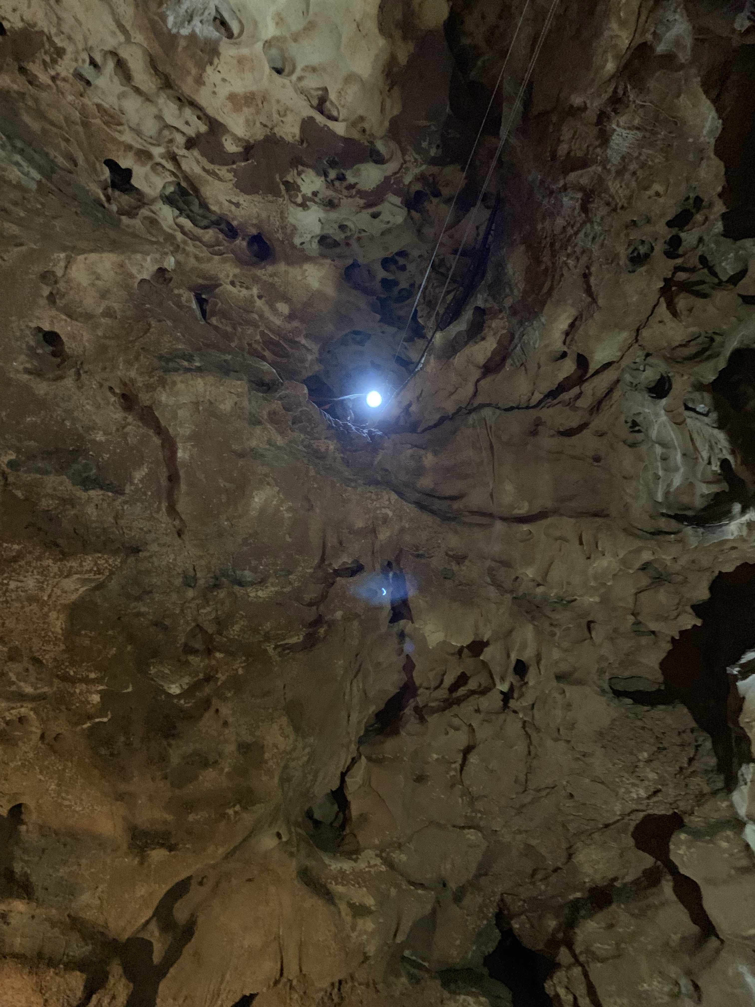 Photo n° 16 de l'avis de Lionel. fait le 18/07/2019 à 21:52
