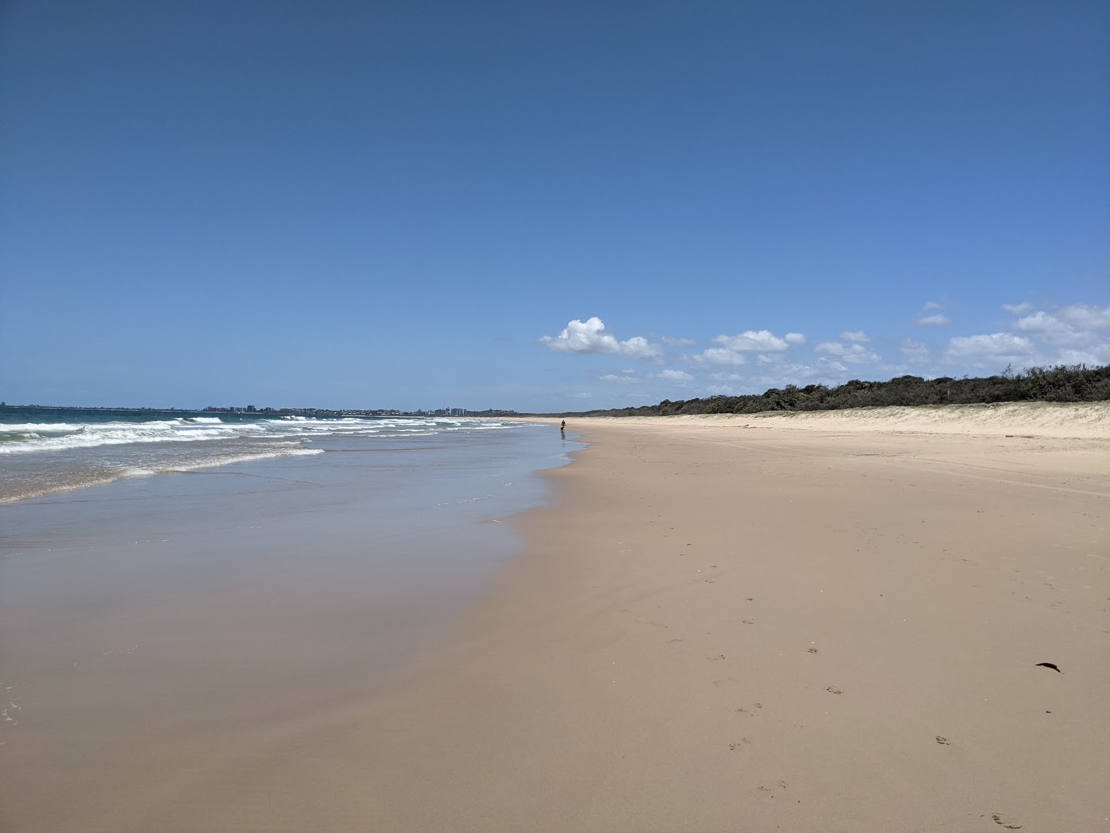 Mudjimba Beach的照片 具有非常干净级别的清洁度