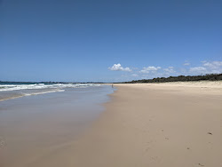Zdjęcie Mudjimba Beach z poziomem czystości wysoki