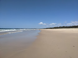 Mudjimba Beach'in fotoğrafı vahşi alan