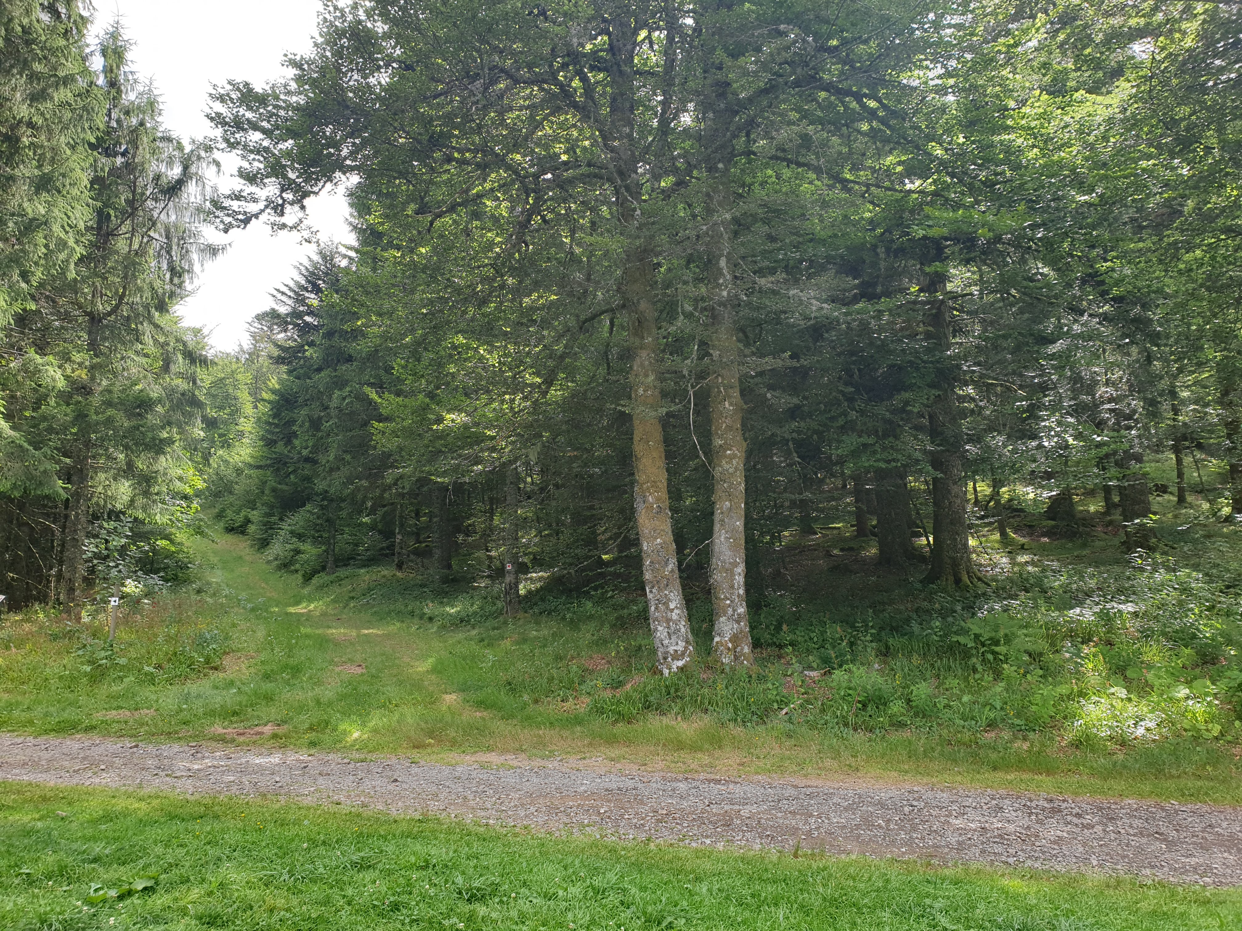 Photo n° 6 de l'avis de Romain.I fait le 10/08/2019 à 08:38