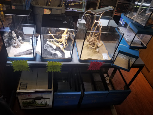 Tropical Fish Store «Aquastetics», reviews and photos, 354 E Main St, Fall River, MA 02724, USA