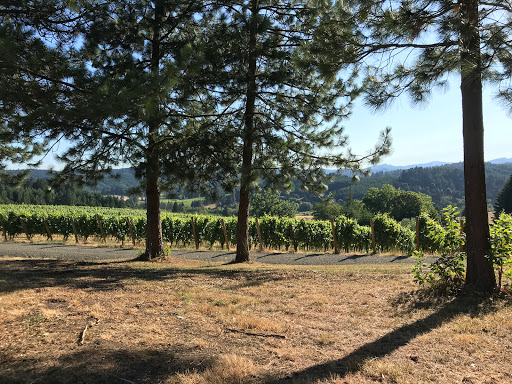 Winery «Walnut Ridge Vineyard», reviews and photos, 94739 Turnbow Ln, Junction City, OR 97448, USA