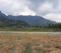 Spot foto photo