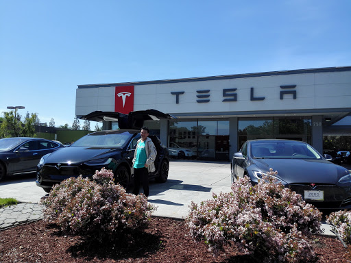 Tesla Sales