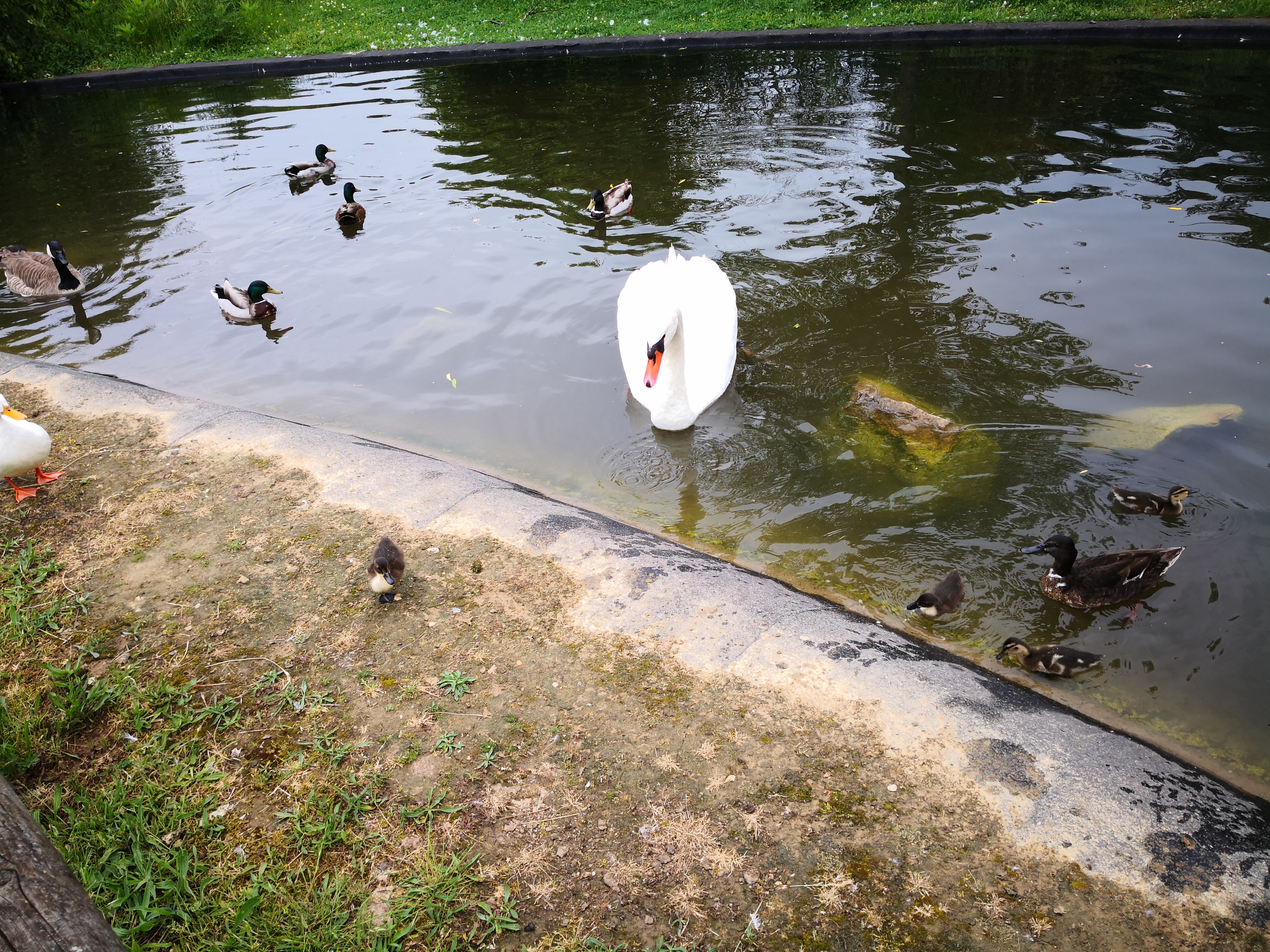 Photo n° 2 de l'avis de qamar. fait le 20/05/2018 à 07:54