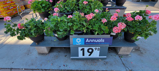 Electronics Store «Best Buy», reviews and photos, 13711 W Bell Rd, Surprise, AZ 85374, USA