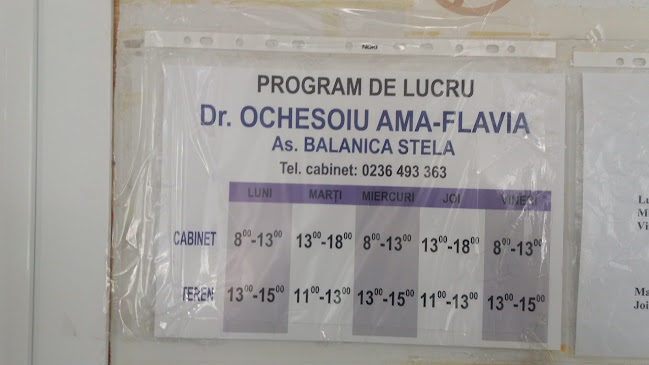 Cabinet Medical Dr OCHESOIU AMA - Doctor