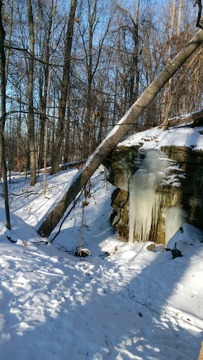 Nature Preserve «Princess Ledges Nature Preserve», reviews and photos, 4361 Spruce Ave, Brunswick, OH 44212, USA