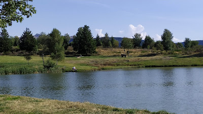 Plan d'eau du pré cohadon à Murat-le-Quaire