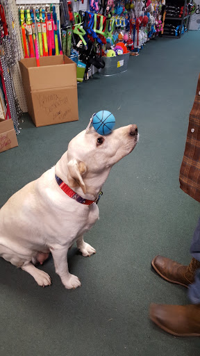 Pet Supply Store «Wichita Pet Supply», reviews and photos, 4006 Call Field Rd # A, Wichita Falls, TX 76308, USA