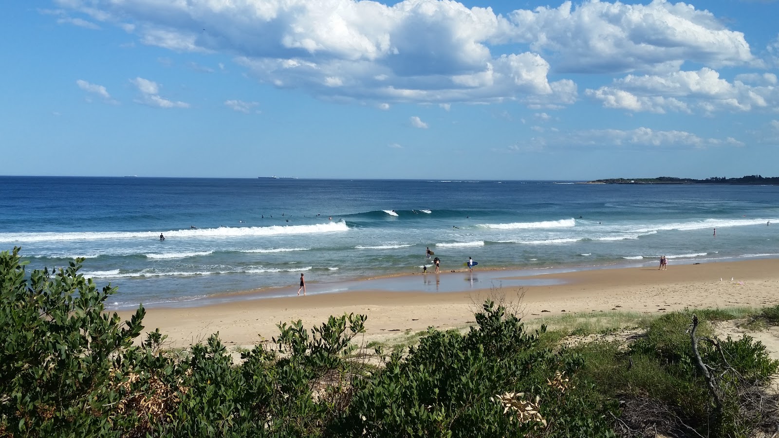 Woonona Beach photo #7
