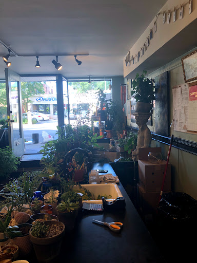 Florist «Halsted Flowers, LLC», reviews and photos, 2725 N Halsted St, Chicago, IL 60614, USA