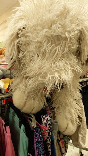 Non-Profit Organization «Goodwill», reviews and photos, 255 Wilmington West Chester Pike, Chadds Ford, PA 19317, USA