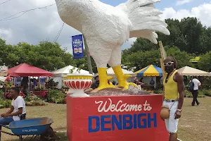 Denbigh Show Ground image