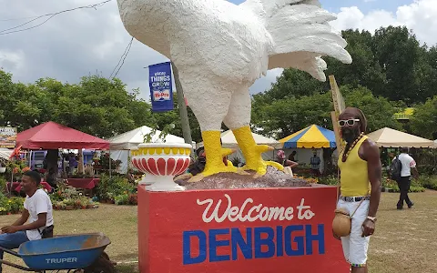 Denbigh Show Ground image