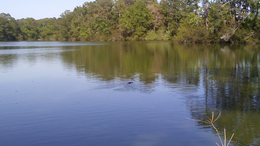 Resort «The Sea Pines Resort», reviews and photos