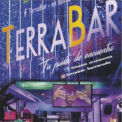 Barracuda Video Bar