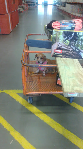 Home Improvement Store «The Home Depot», reviews and photos, 1510 Ring Rd, Elizabethtown, KY 42701, USA