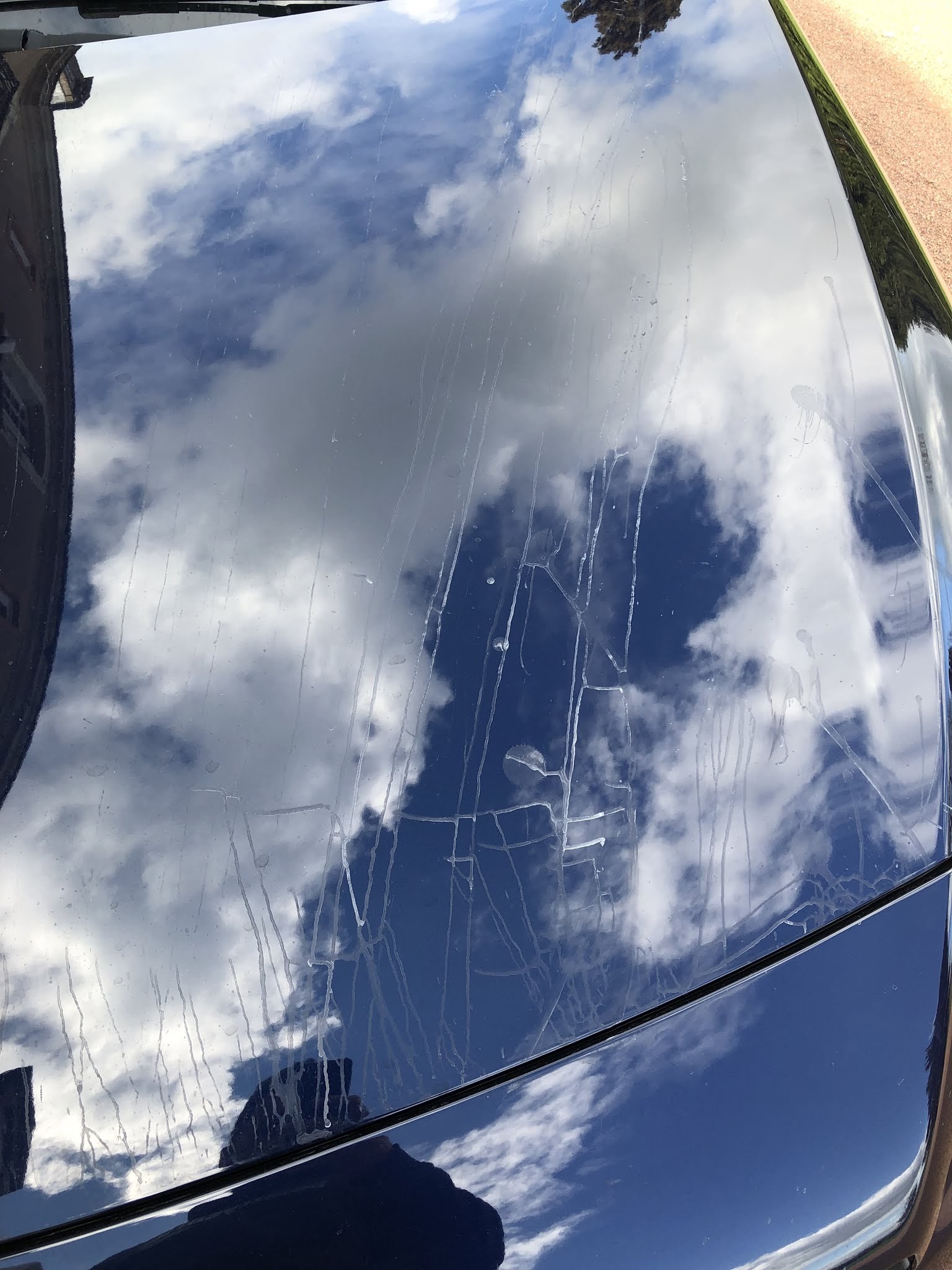 Photo n° 4 de l'avis de Léonard. fait le 20/03/2019 à 19:24