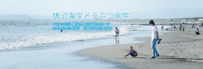 鵠沼海岸どうぶつ病院
