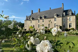 Château du Bois de Sanzay image