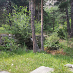 Photo n°6 de l'avis de Domenica.e fait le 22/07/2023 à 12:45 sur le  Trattoria Pizzeria Bar  La Norma  à Oulx