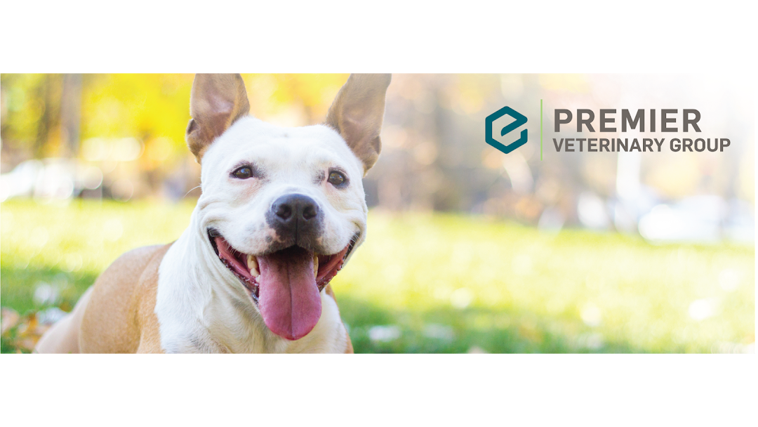 Premier Veterinary Group - Chicago